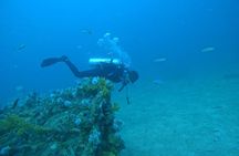 From Dubai: 3 Dives in Fujairah with BBQ Lunch and Transfer