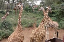 Day tour to Karen Blixen, Beads Factory & Giraffe Center 