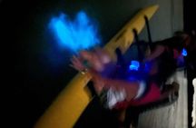 Bioluminescent Bay Chiliboats Waterbike Tour in La Parguera