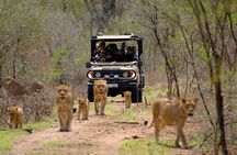 3 Day Garden Route Private Tour