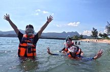 Snorkeling Guided Tour in Hong Kong's Cactus Coral Area