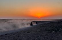 Desert Quad Bike Tour with Tea and Dinner From Marrakech