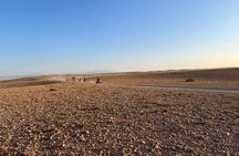 Desert Quad Bike Tour with Tea and Dinner From Marrakech