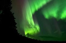 From Rovaniemi: Northern Lights Tour with Campfire Snacks