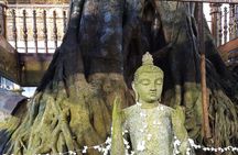 COLOMBO PRIVATE CITY TOUR WITH street food( All inclusive )