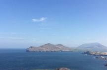 8 Hours Private Tour in Kerry