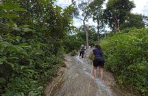 Half Day Chiangmai Bua Tong Sticky Waterfall Tour