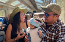 1-Day Tour to Machu Picchu by Train with Entrance Circuit 3