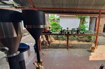 2 Hour Coffee & Chocolate Tour in Playas del Coco