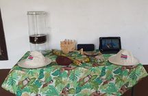 2 Hour Coffee & Chocolate Tour in Playas del Coco