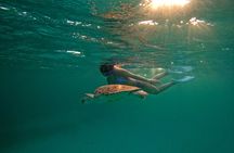 Turtle Snorkeling Sunset Experience at Tres Trapi Aruba