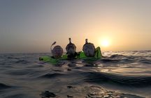 Turtle Snorkeling Sunset Experience at Tres Trapi Aruba