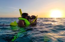 Turtle Snorkeling Sunset Experience at Tres Trapi Aruba