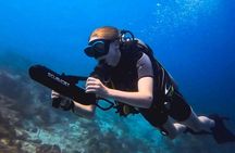 1 DPV dive at Director's Bay in Curacao