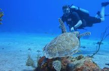 1 DPV dive at Director's Bay in Curacao