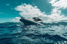 Half Day Private Whale Watching in Moorea