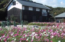 1 Day Shodoshima Island Bus Tour