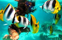 Moorea Sunset Cruise