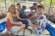 Roatan VIP Free-Style Private Tour