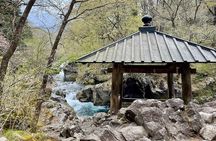 1 Day Nikko Walking Tour, Toshogu and Kanmangafuchi from Tokyo