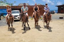 Roatan VIP Free-Style Private Tour