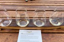 Queenstown More Than A Wine Tour