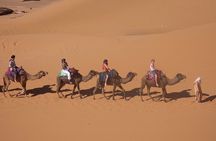 Overnight Camel Ride in the Desert