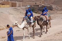 Overnight Camel Ride in the Desert