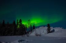  Northern Lights Hunting of Rovaniemi 