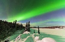  Northern Lights Hunting of Rovaniemi 
