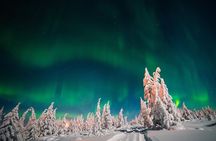  Northern Lights Hunting of Rovaniemi 