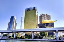 Tokyo Private Half Day Tour with Licensed Guide by Car