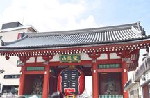 Tokyo Private Half Day Tour with Licensed Guide by Car