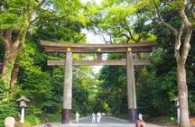 Tokyo Private Half Day Tour with Licensed Guide by Car