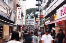 Tokyo Private Half Day Tour with Licensed Guide by Car