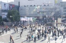 Tokyo Private Half Day Tour with Licensed Guide by Car
