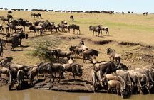6-Days of Elephants, Wildebeest and Big 5: Kenya’s Classic Safari
