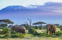 6-Days of Elephants, Wildebeest and Big 5: Kenya’s Classic Safari