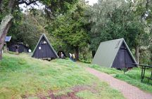 Kilimanjaro 1 Day Hike on the Marangu Route