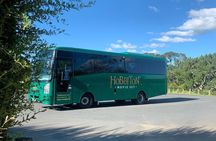 Private Tour from Auckland Hobbiton Rotorua and Wai-O-Tapu