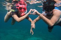 Snorkeling Adventure in Musandam with lunch