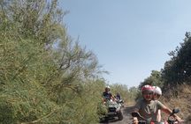 Etna Easy Tour