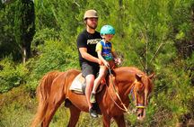 Private Horse Riding Adventure in Ulugüney Stream in Alara River