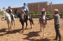 Horseback Riding Adventure in Palmeraie Grove 2 hours -Marrakech