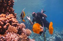 Orange Bay Island Snorkeling with Water Sports in Hurghada