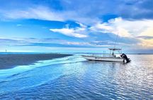 7 Hour Ultimate Lowcountry Day Up to 6 Guests