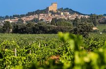 Wine Tasting Tour at Châteauneuf du Pape