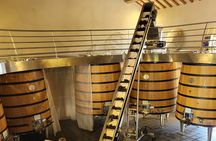 Wine Tasting Tour at Châteauneuf du Pape