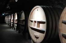 Wine Tasting Tour at Châteauneuf du Pape