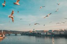 Discover Prague – 4 Hours Tour Driving
